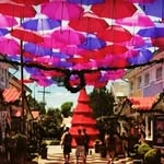 Colônia Finlandesa RJ