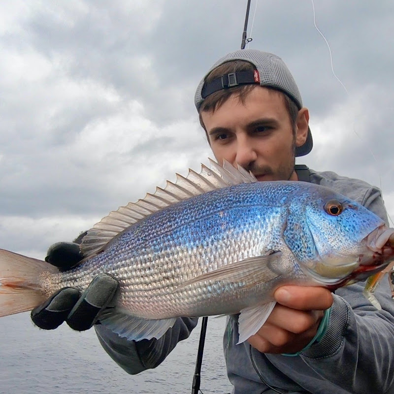 FilaFishing