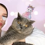 Kat