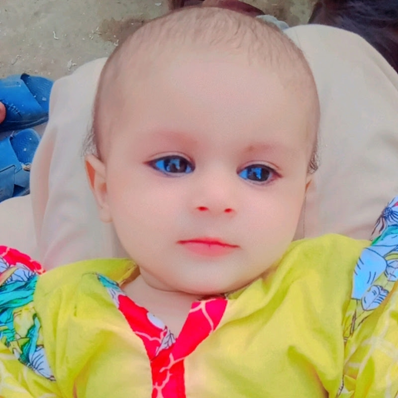 Shifa Fatima