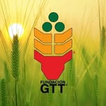 Fundación GTT®