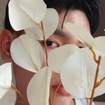 glowithjet