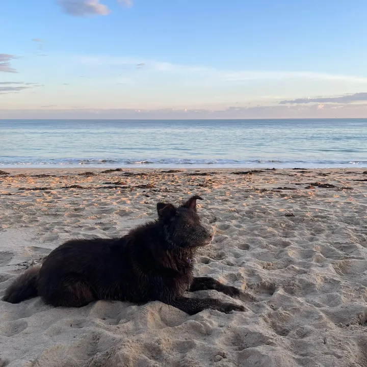 CHLOE 🍒🐆⭐️🍸