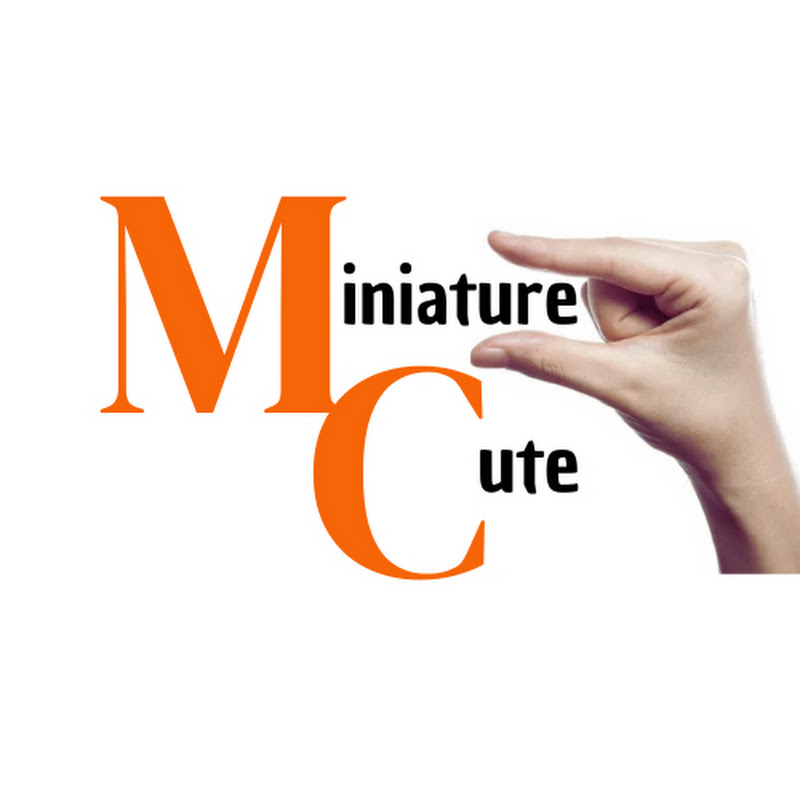 ♦︎Miniature Cute♦︎