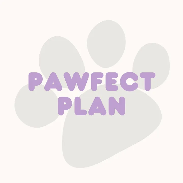 𝐌𝐲 𝐏𝐚𝐰𝐟𝐞𝐜𝐭 𝐒𝐡𝐞𝐞𝐭