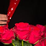 lela.y01