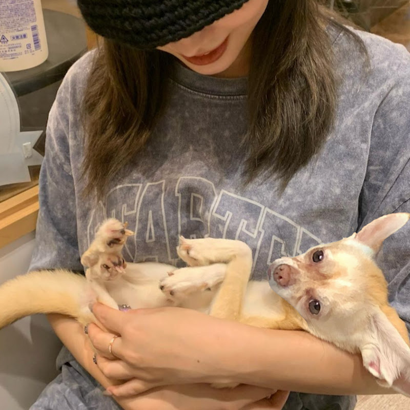 angelina's generation 