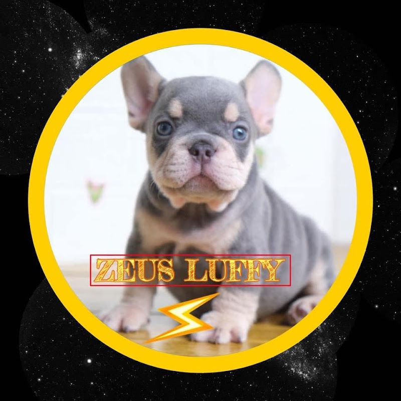 LOEB DA - Puppy 🐶 