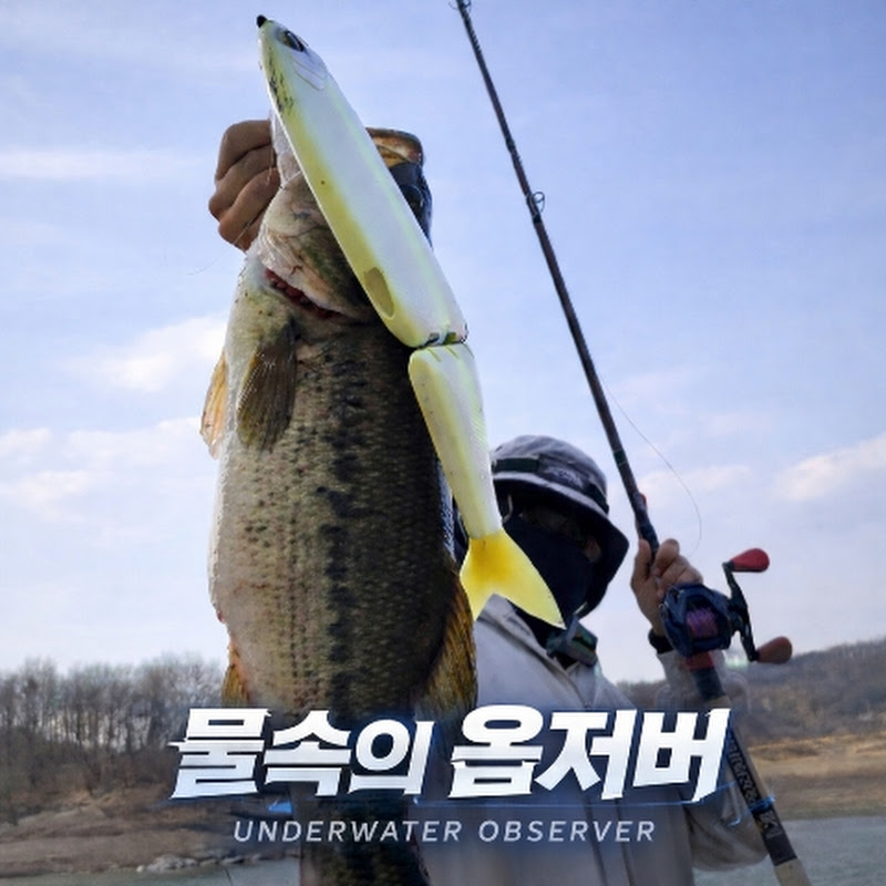 물속의옵저버 [Observer in the water]