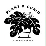 Plant & Curio