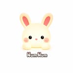 NumNum ASMR🐰