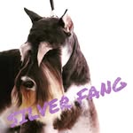 SILVER FANG　店長Chie✨️