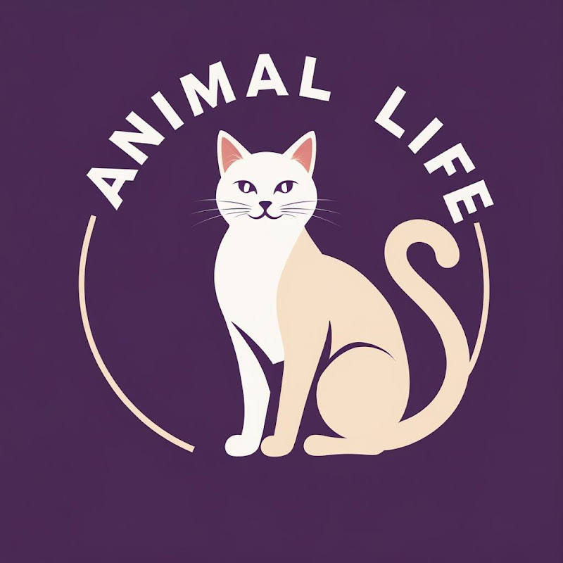 Animal Life