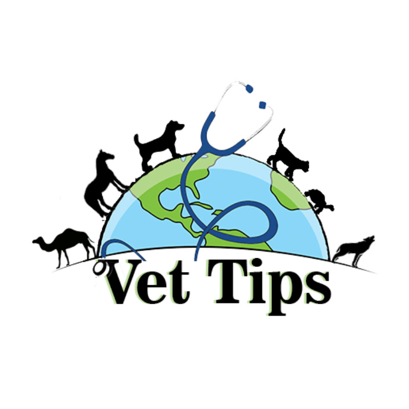 Vet Tips