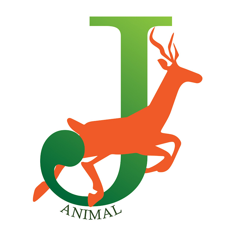  JAnimal 