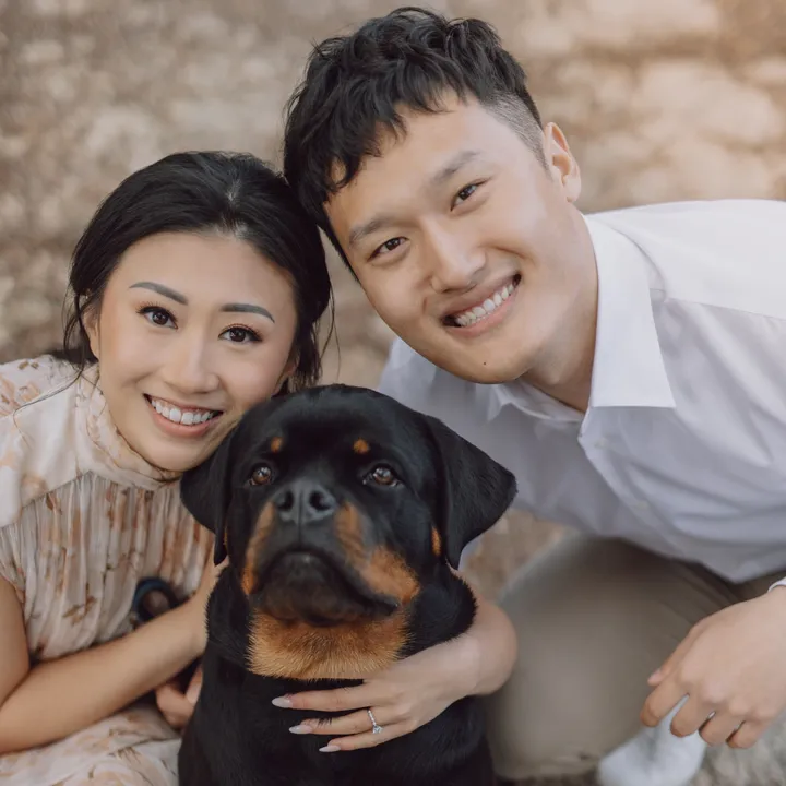 romeo the rottie