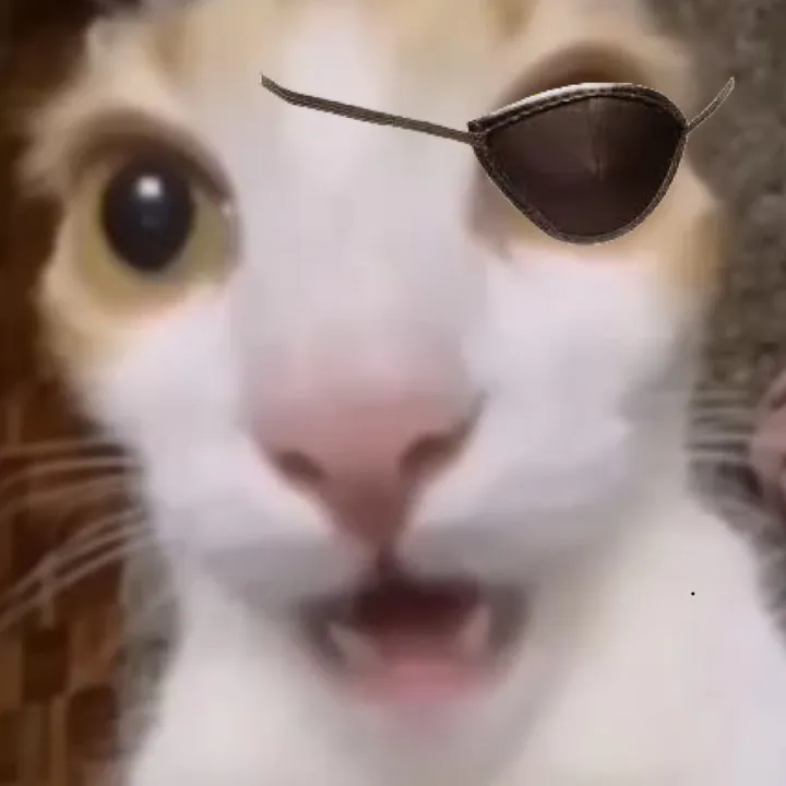 metalgearmememan