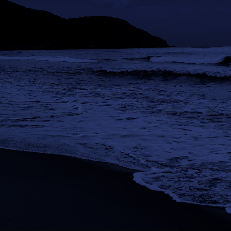 Sweet Ocean Dream