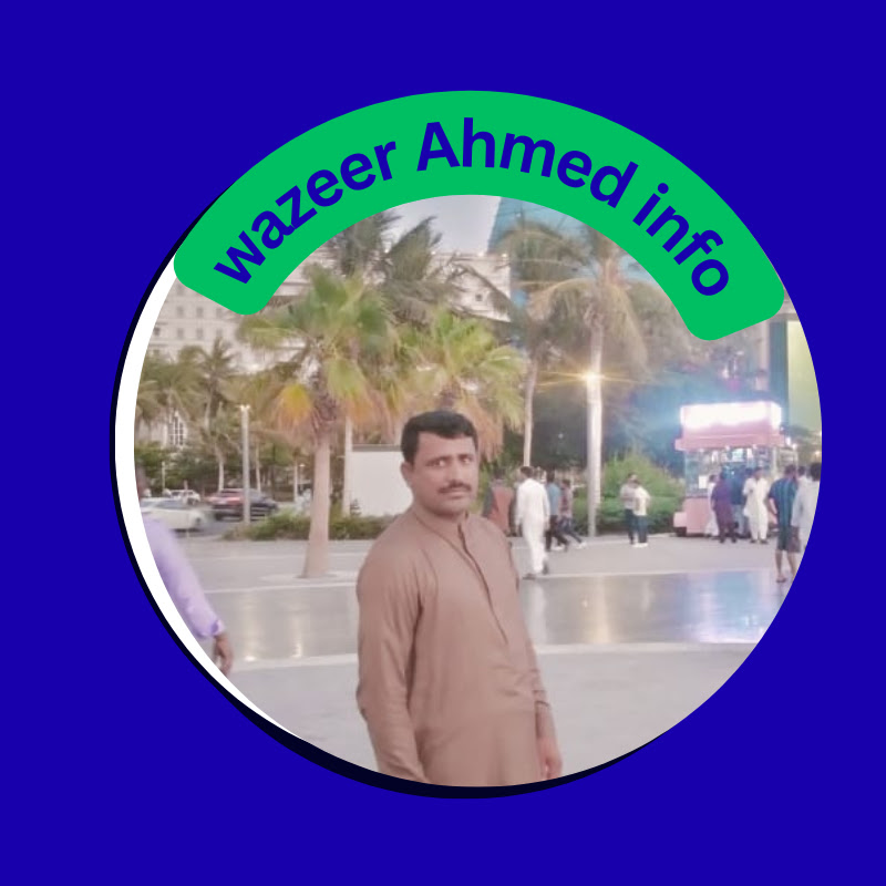Wazeer Ahmed info