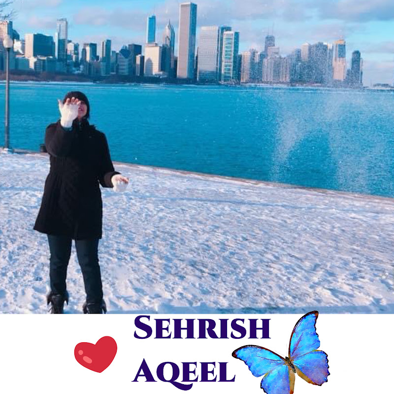 Sehrish USA vlog