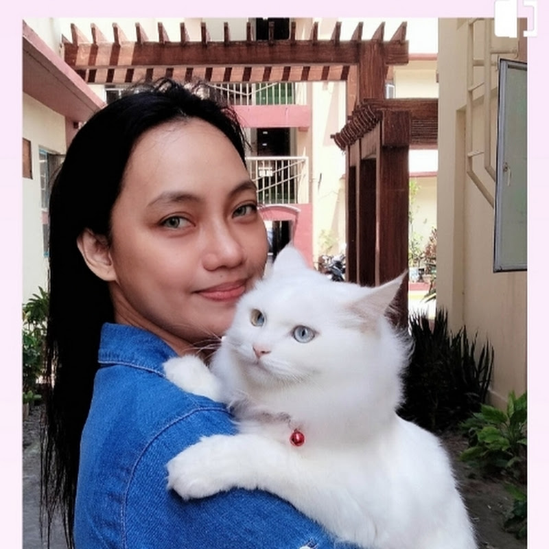 mama Ann vlogs