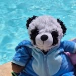Pedro Lepanda