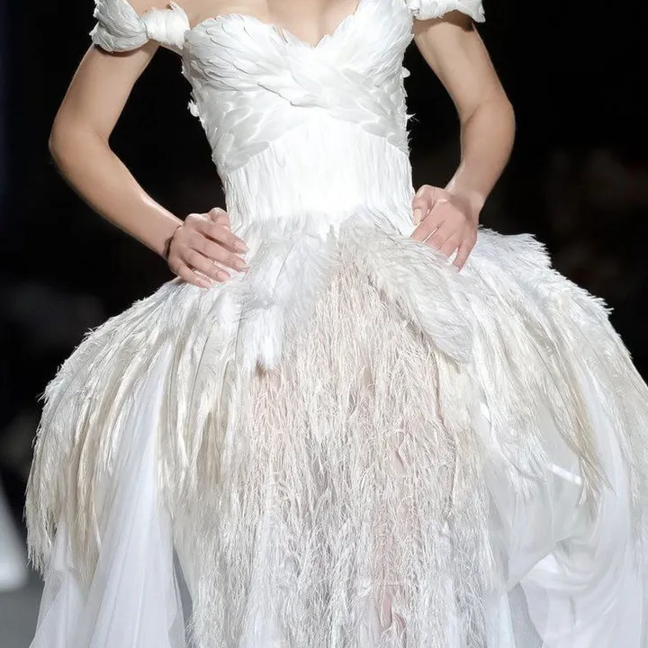 swanlakevibes