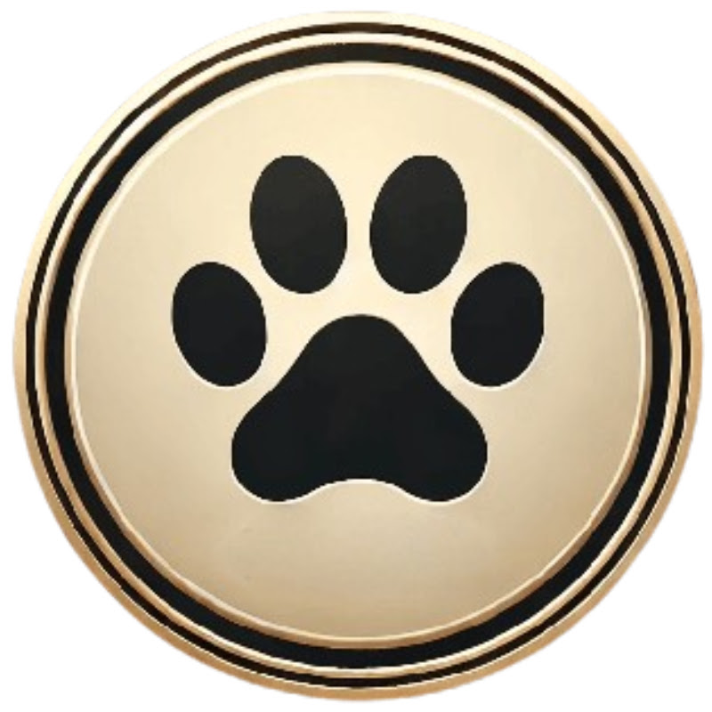 Le Zapping Des Animaux