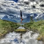 Julie Bjanes | NORWAY