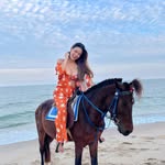 𝒫𝓊𝓃𝓃𝓎𝒶𝒶𝓅𝒽𝒶𝓉  𝒯𝒽𝒶𝓃𝒽𝑜𝓂𝓀𝓊𝓁2465