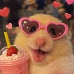 𝑻𝓪𝓼𝓷𝓮𝓮𝓶 | 𝓾𝓰𝓬 🪽