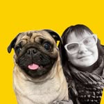 Pingo Luis o Pug