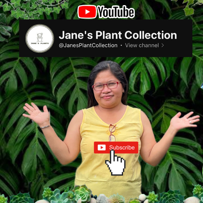 Jane's Mix Blog