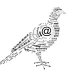 The Pigeon News