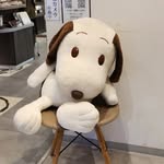 Snoopy Sanrio Disney Miffy Ghibli