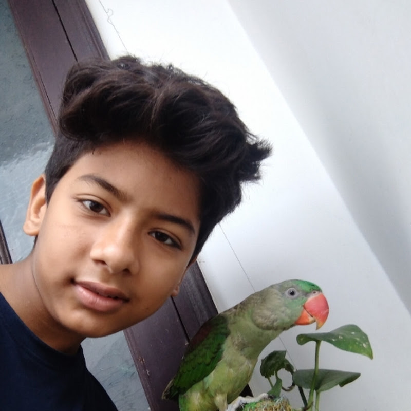 Adarsh Rajput Vlogz