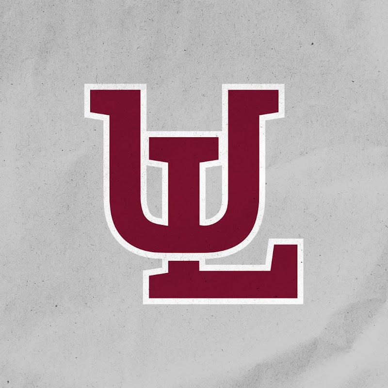 Algodoneros del Unión Laguna Oficial