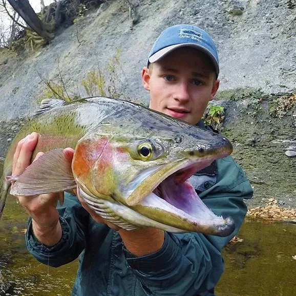 fishlikemike