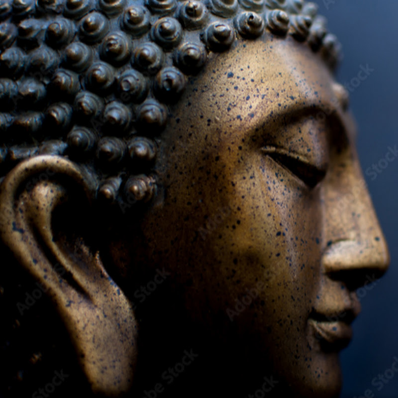 Buddha Vagabond