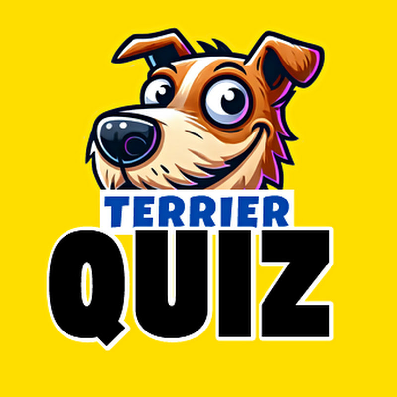 Quiz Terrier | A to Z Quizzes