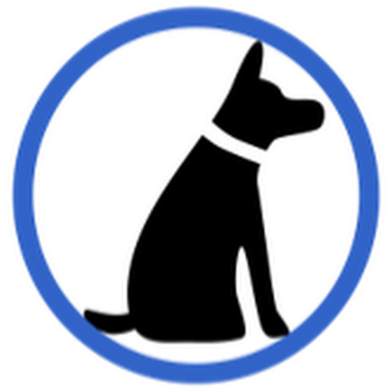 Dog Training Advice Tips