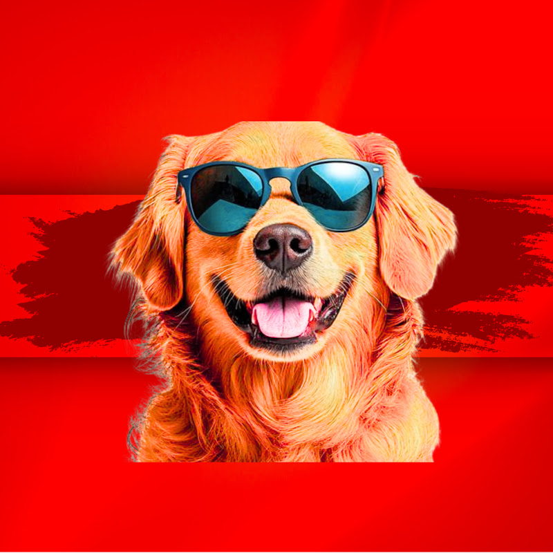 chucklepawstv