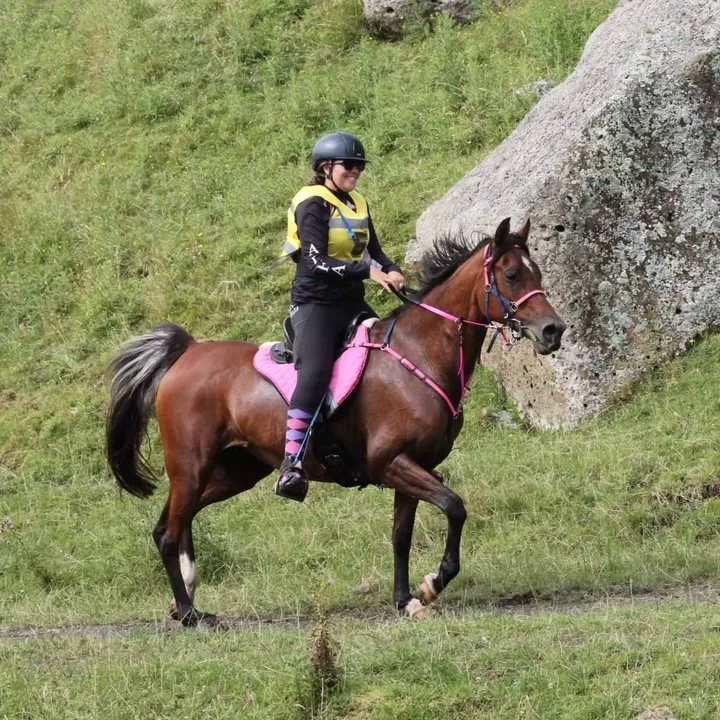 KJ Farms Endurance🇳🇿