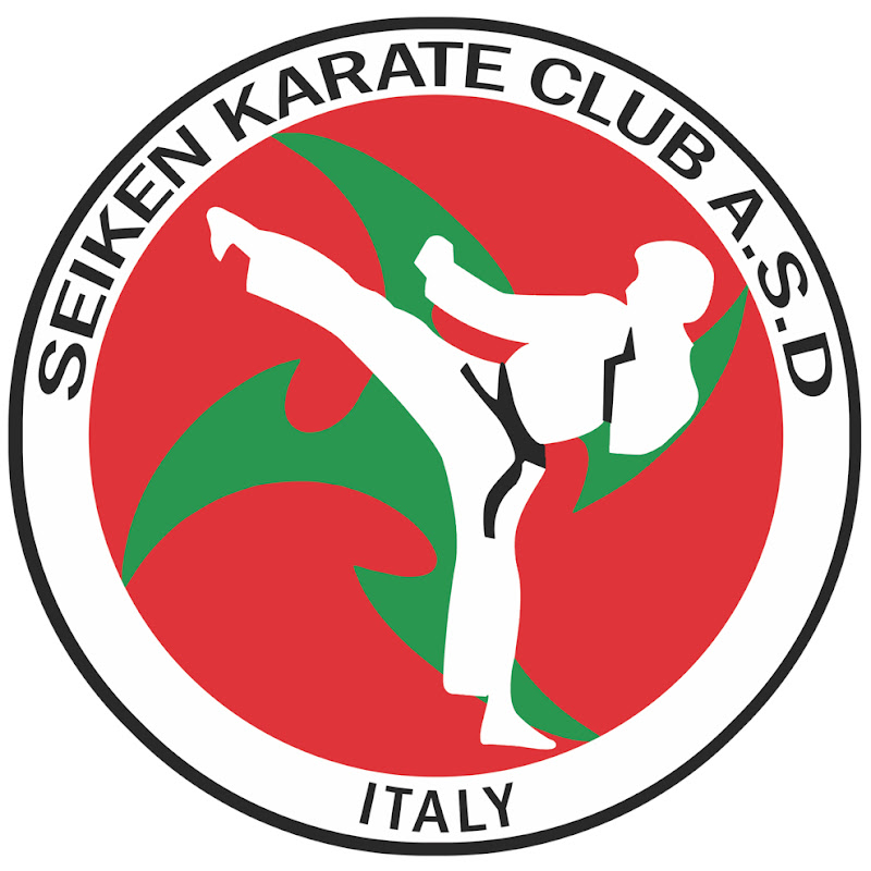 Seiken Sensei