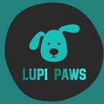 Lupi Paws | Collars, leashes and accessories