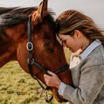 Retraining Celestial Bliss 🇬🇧