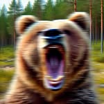 Daily Bear