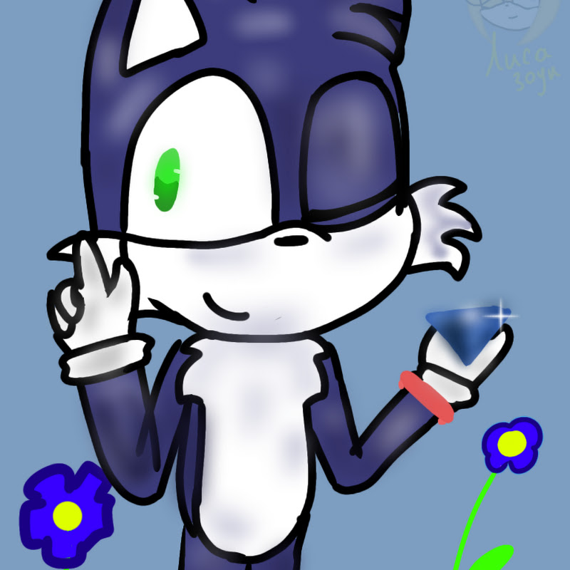 Sonic248