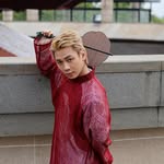 Long Hữu Phi Phạm