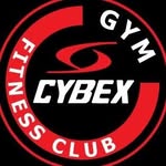 Cybex gym ismailia